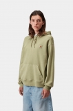 Carhartt Hooded Nelson Sweatshirt - Gentle Green, Garment dyed