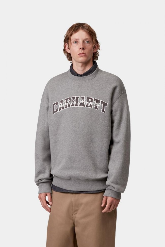 Carhartt Big School Sweatshirt - Dark Grey Heather