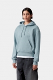 Carhartt Hooded Casey Sweatshirt - Tourmaline / Silver