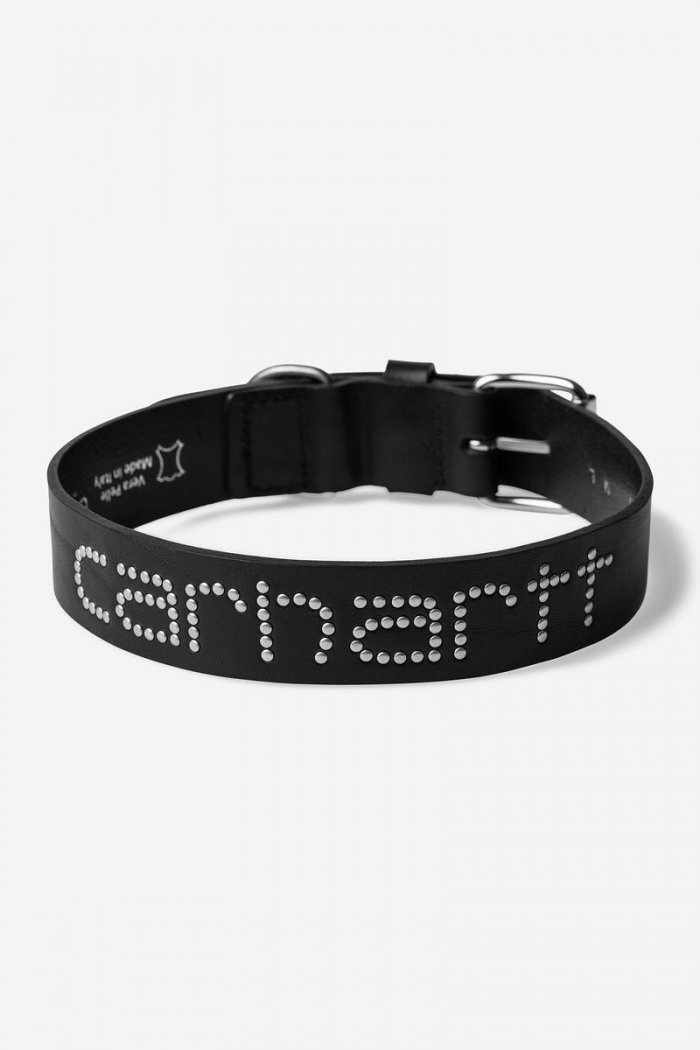 Carhartt Script Studs Dog Collar - Black - M/L